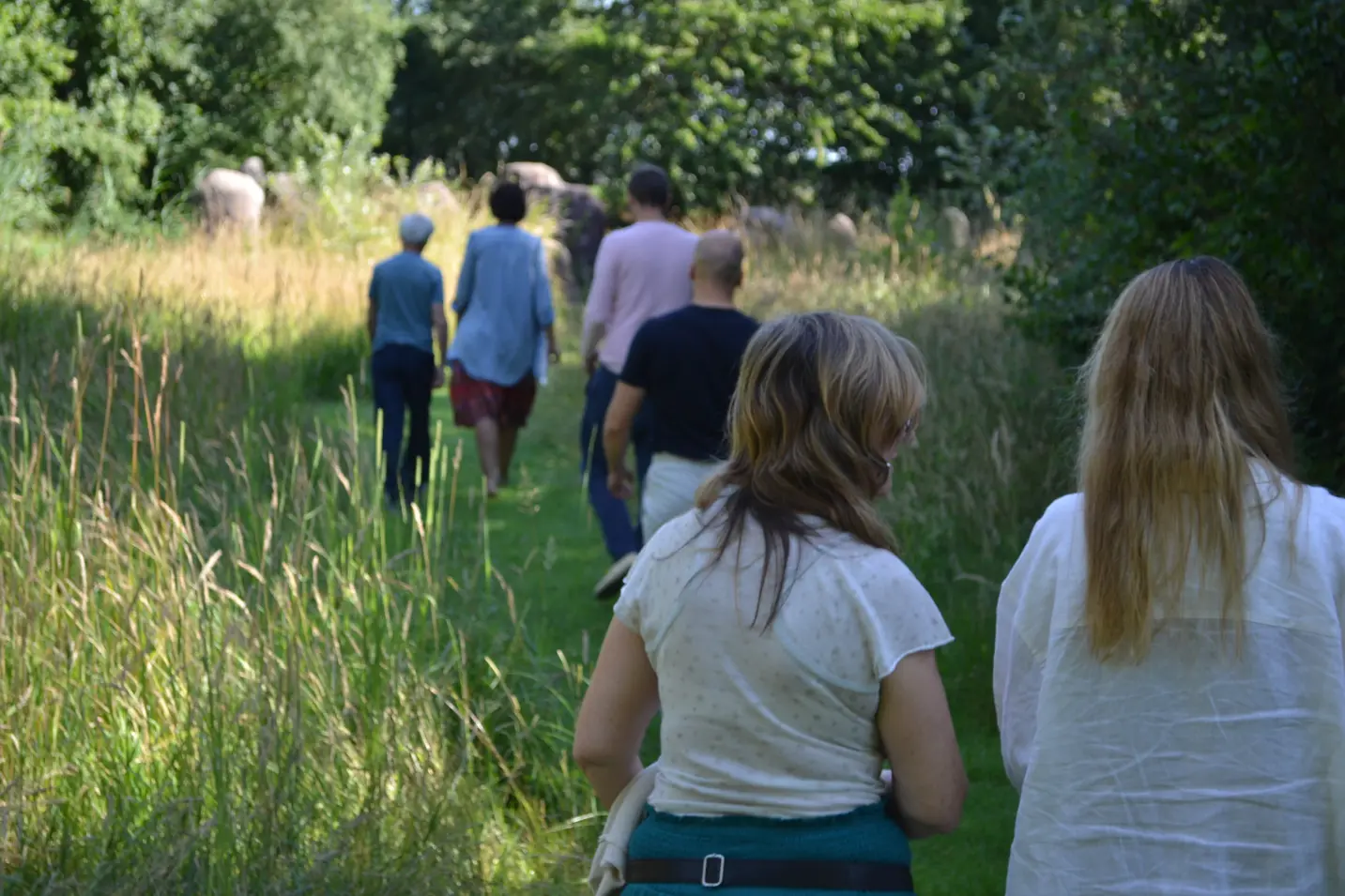 Psilocybin Retreat Netherlands